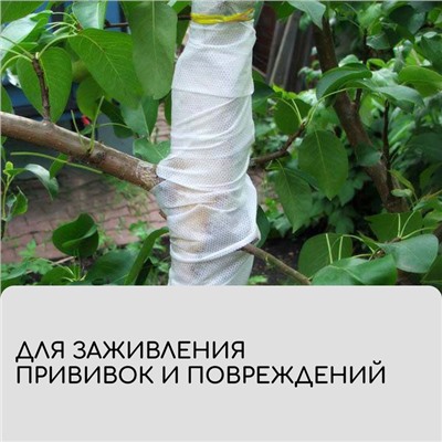 Лента для подвязки растений, 10 × 0,02 м, плотность 60 г/м², спанбонд с УФ-стабилизатором, белая, Greengo, Эконом 20%
