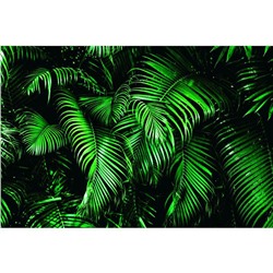 Фотобаннер, 250 × 200 см, с фотопечатью, люверсы шаг 1 м, «Зелёные листья»