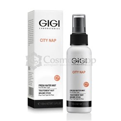 GiGi Acnon Purifying Solution 100ml / Эссенция-спрей для проблемной и жирной кожи 100мл