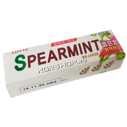 Жевательная резинка Spearmint Lotte, Корея, 26 г. Акция