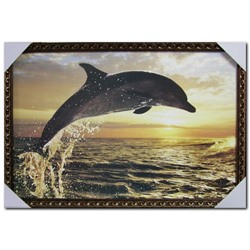 Постер 40*60см Дельфин