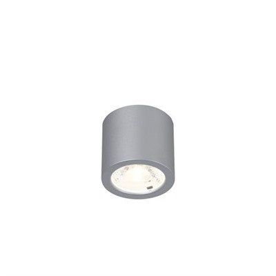 Потолочный светильник Deorsum 2808-1C. ТМ Favourite