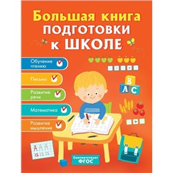 Большая книга подготовки к школе