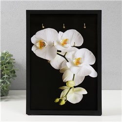 Ключница открытая "Орхидея"  5 крючков,  23х32 см