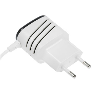 Сетевое зарядное устройство LuazON LCC-24, 2 USB, microUSB, 1 A, 1 м, черно-белое