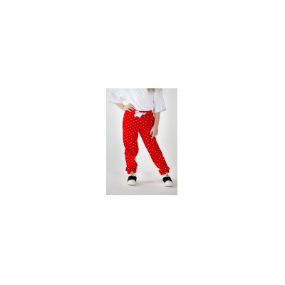 Спортивные штаны STL-SSH-3939-85