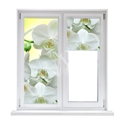 Рулонная штора лен "Белая орхидея"  (d-200005-gr)