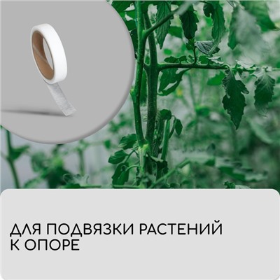 Лента для подвязки растений, 10 × 0,02 м, плотность 60 г/м², спанбонд с УФ-стабилизатором, белая, Greengo, Эконом 20%