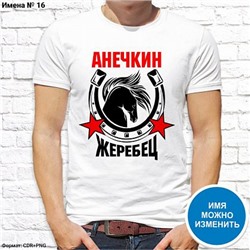 Мужская футболка "Анечкин жеребец", №16