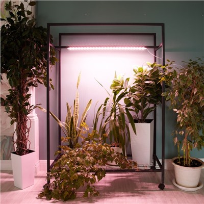 Светильник для растений светодиодный линейный, 900 мм Uniel, 14 Вт, LED, IP65, цвет прозрачный