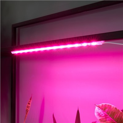 Светильник для растений светодиодный линейный, 540 мм Uniel, 10 Вт, LED, IP65, цвет прозрачный