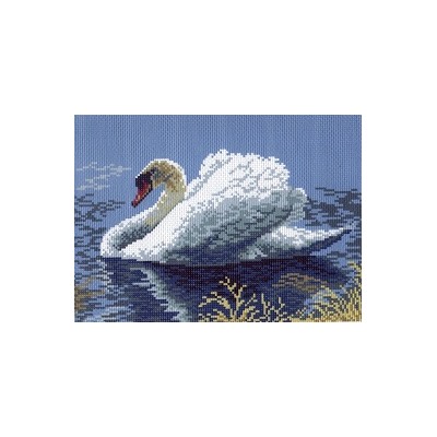 Лебедь-кликун 0381