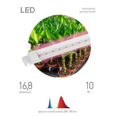 Светильник для растений, фитолампа светодиодная линейная ЭРА FITO-10W-Т5-RB-Slim красно-синего спект