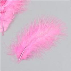Набор декоративных перьев "Рукоделие", 20 шт (розовый цвет), длина пера 13-16 см