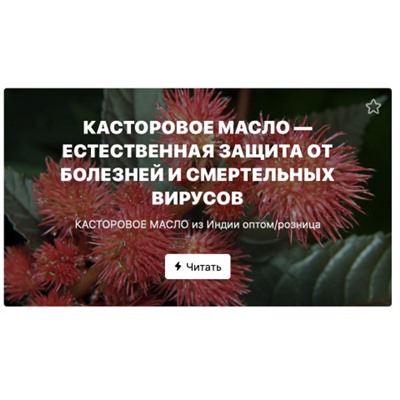 Удобрение для цветения комнатных растений - как приготовить | РБК Украина