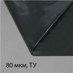 Плёнка полиэтиленовая, техническая, толщина 80 мкм, 5 × 3 м, рукав (2 × 1,5 м), чёрная, 2 сорт, Эконом 50 %