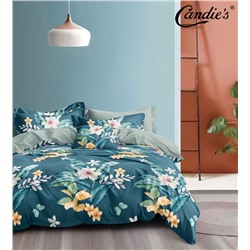 КПБ Candie's Home AB CANHAB167