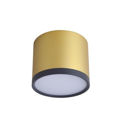 Потолочный светильник Baral 3082-2C. ТМ Favourite