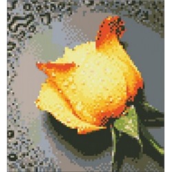 АЖ.SP-018 "Желтая роза"