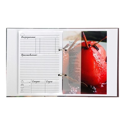 Книга для записи кулинарных рецептов А5, 80 листов на кольцах "ГотовимДома", твёрдая обложка, цветные разделители, блок офсет