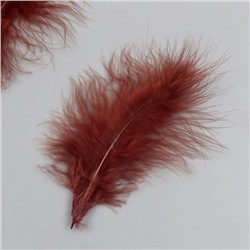 Набор декоративных перьев "Рукоделие", 20 шт (коричневый цвет), длина пера 13-16 см