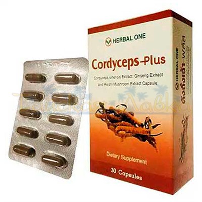 Супер кордицепс, Hi balanz cordyceps- Панацея от всех болезней