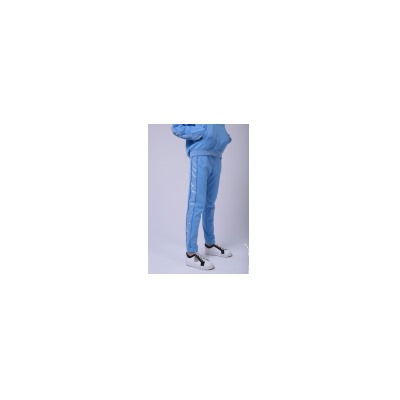 Спортивные штаны СШ-3948-5