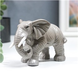 Сувенир керамика "Серый слон - хобот закручен" 10,5 см