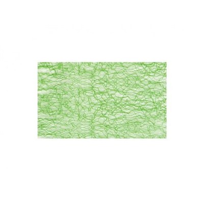 Лента декоративная, зелёная сетка, 50 мм х 22,8 м (Цена указана за 1 метр) Акция! Скидка -30% с 06.10.2023 по 31.12.2023. Цена указана до применения скидки.