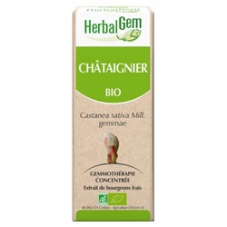 HerbalGem Bio Chataignier 30 ml