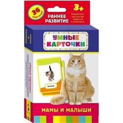 Уценка. Развивающие карточки. Мамы и малыши 3+