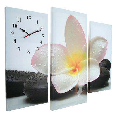 Часы настенные, модульные, серия: Цветы, "Цветок на камнях", 60х80 см
