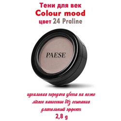 Тени PAESE Colour mood 24 Praline