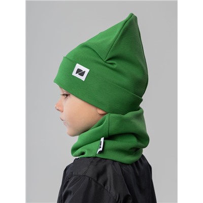 Комплект (шапка, снуд) 13-148U; зеленый