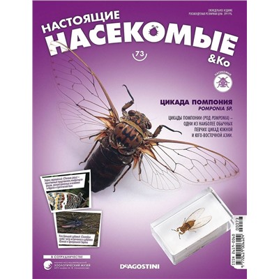 Журнал №73 "Настоящие насекомые" С ВЛОЖЕНИЕМ! Цикада помпония
