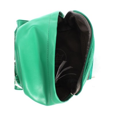 Рюкзак жен искусственная кожа DJ-6943-3-GREEN,  1отд,  2внут+2внеш/ карм,  зеленый 252338