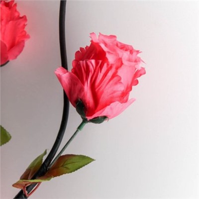Сухоцвет набор 5 штук 155 см Роза розовая / 1810-18 /уп 120/А