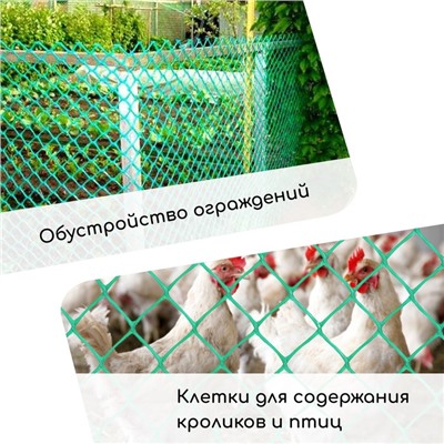 Сетка садовая, 1,5 × 10 м, ячейка 15 × 15 мм, пластиковая, зелёная, Greengo