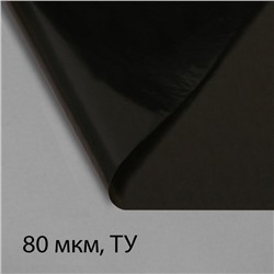 Плёнка полиэтиленовая, техническая, 80 мкм, чёрная, длина 10 м, ширина 3 м, рукав (1.5 м × 2), Эконом 50%