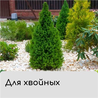 Чехол для растений, 40 × 28 см, спанбонд УФ-стабилизатором, плотность 30 г/м², МИКС