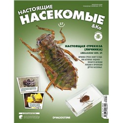 Журнал №57 "Настоящие насекомые" С ВЛОЖЕНИЕМ! Настоящая стрекоза (личинка)