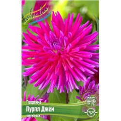 Семена луковичные цветы Color Line Георгина Пурпл Джем, кактус