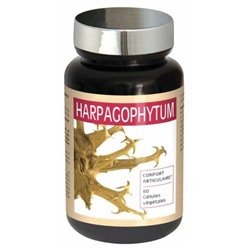 Nutri Expert Harpagophytum 60 G?lules V?g?tales