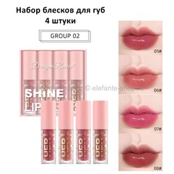 Набор блесков для губ Dragon Ranee Shine Lip Gloss #02 (106)
