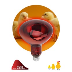 Инфракрасная лампа ЭРА ИКЗК 220-250 R127 кратность 1 шт Е27 / E27 для обогрева животных и освещения