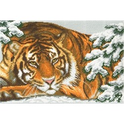 Амурский тигр 0356