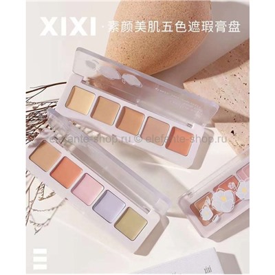 Палетка консилеров Xixi Five Colors Concealer (106)