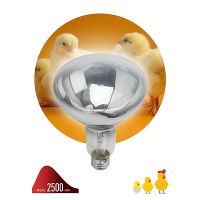Инфракрасная лампа ЭРА ИКЗ 220-250 R127 кратность 1 шт Е27 / E27 для обогрева животных и освещения 2
