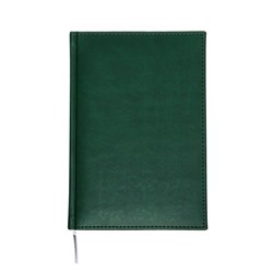 Ежедневник датированный 2024 года А5 168 листов "Вивелла", Зеленый