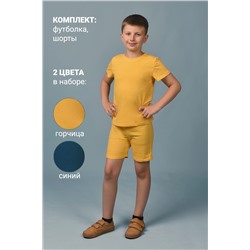 Костюм с шортами для мальчика 11717 2шт Синий+горчичный